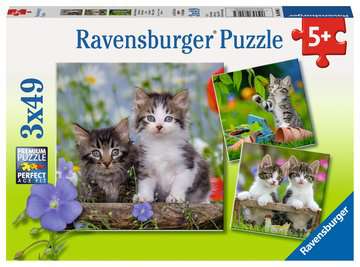 3x49pc Cuddly Kittens