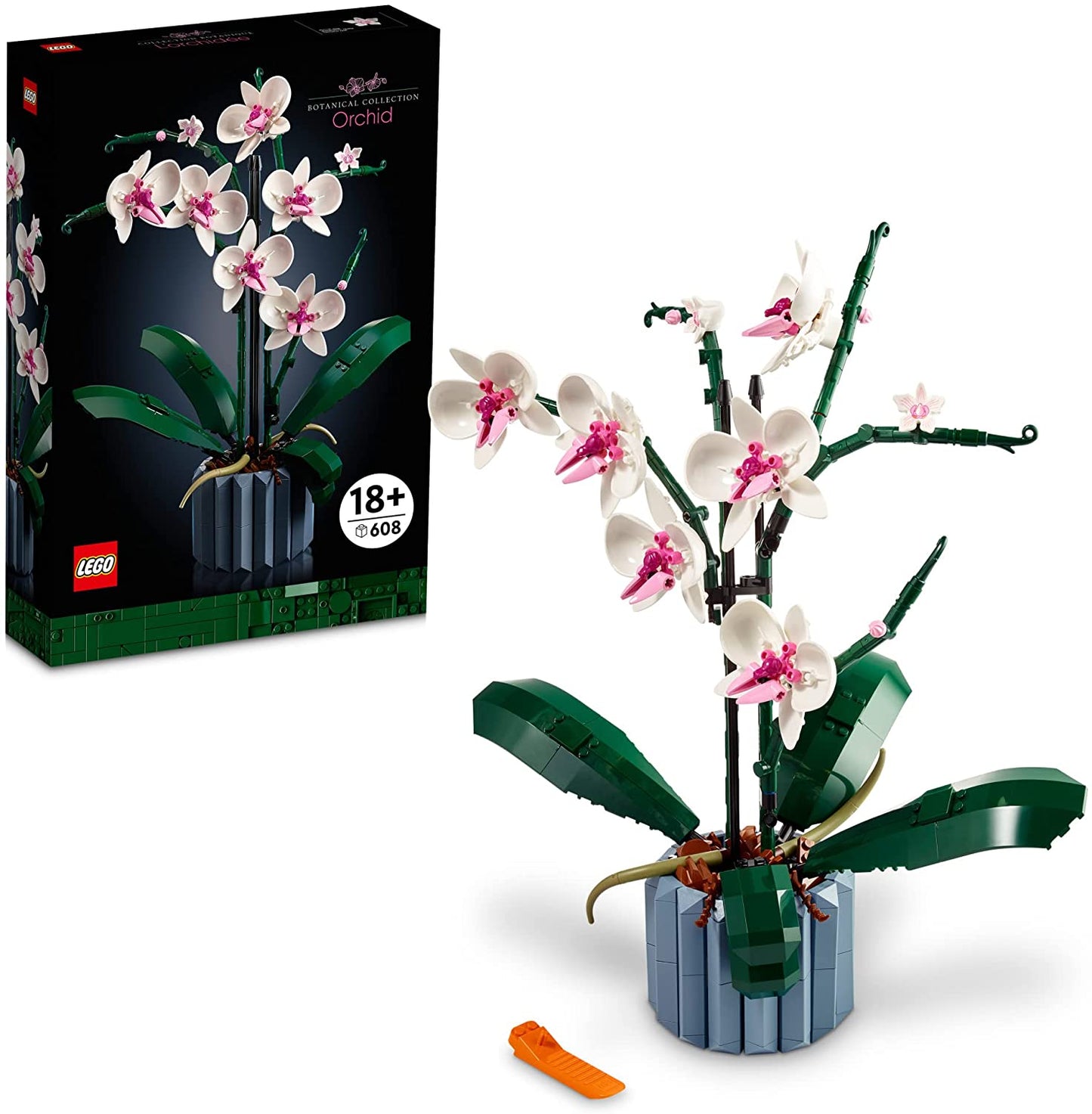 Orchid-1