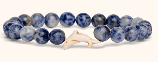 Dolphin Coastal Blue
