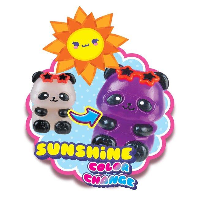Taba Sunshine Surprise