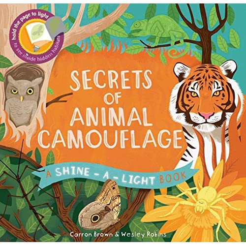 Secrets Animal Camouflage Book -1