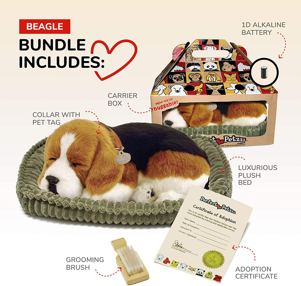 Beagle