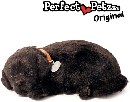 Black Lab