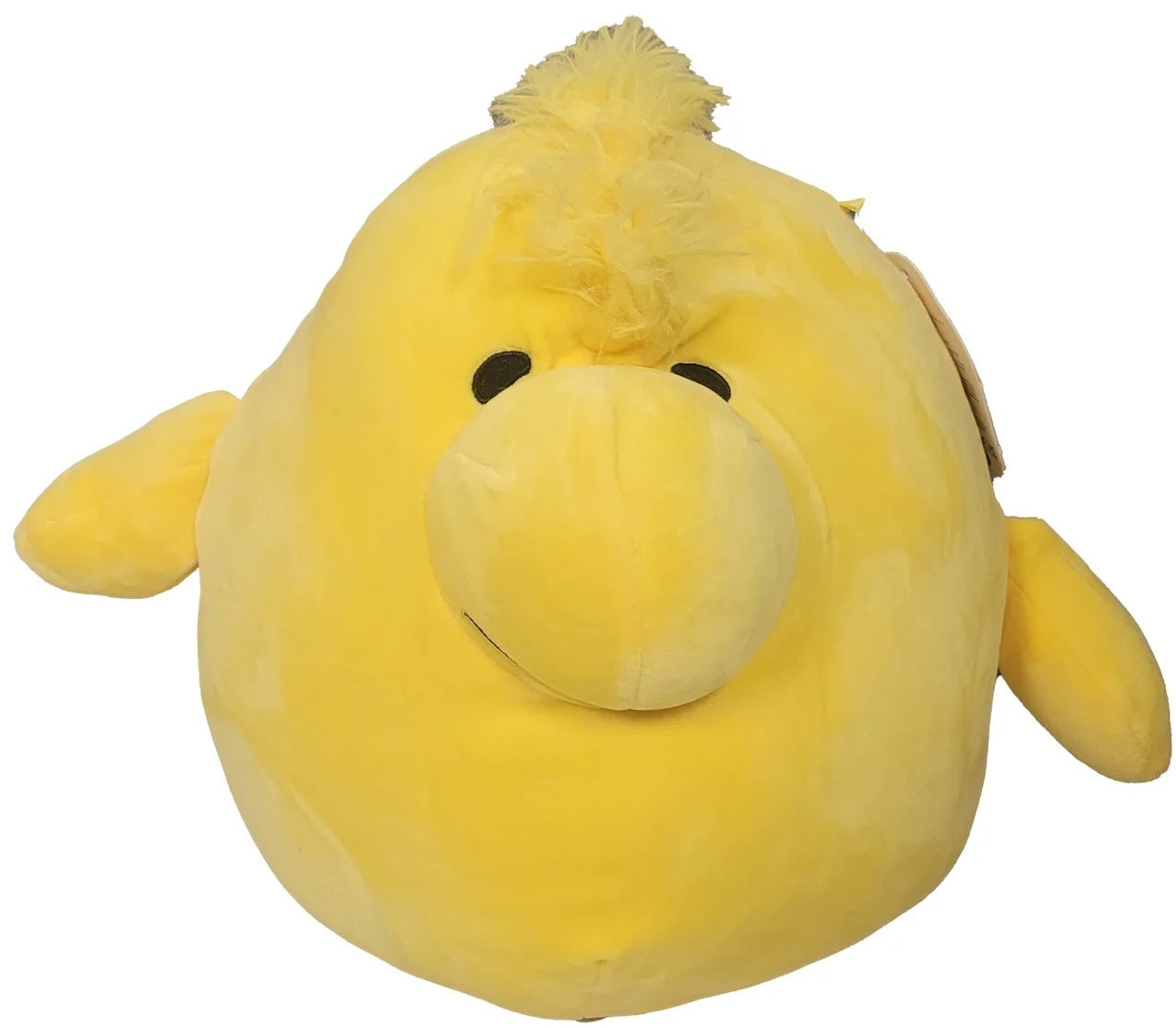 Squish 10 Woodstock