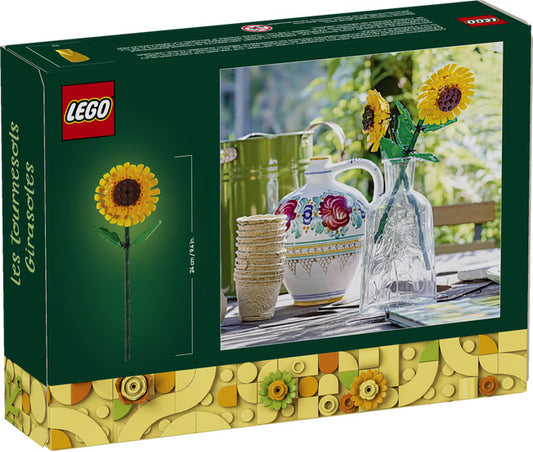 Sunflowers
