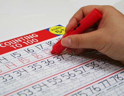 Count to 100 Learning Mat