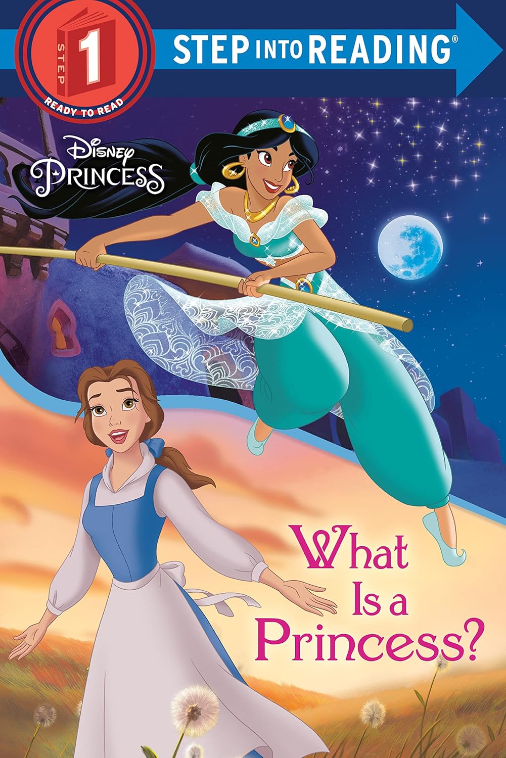 What Is a Princess Sir 1-1