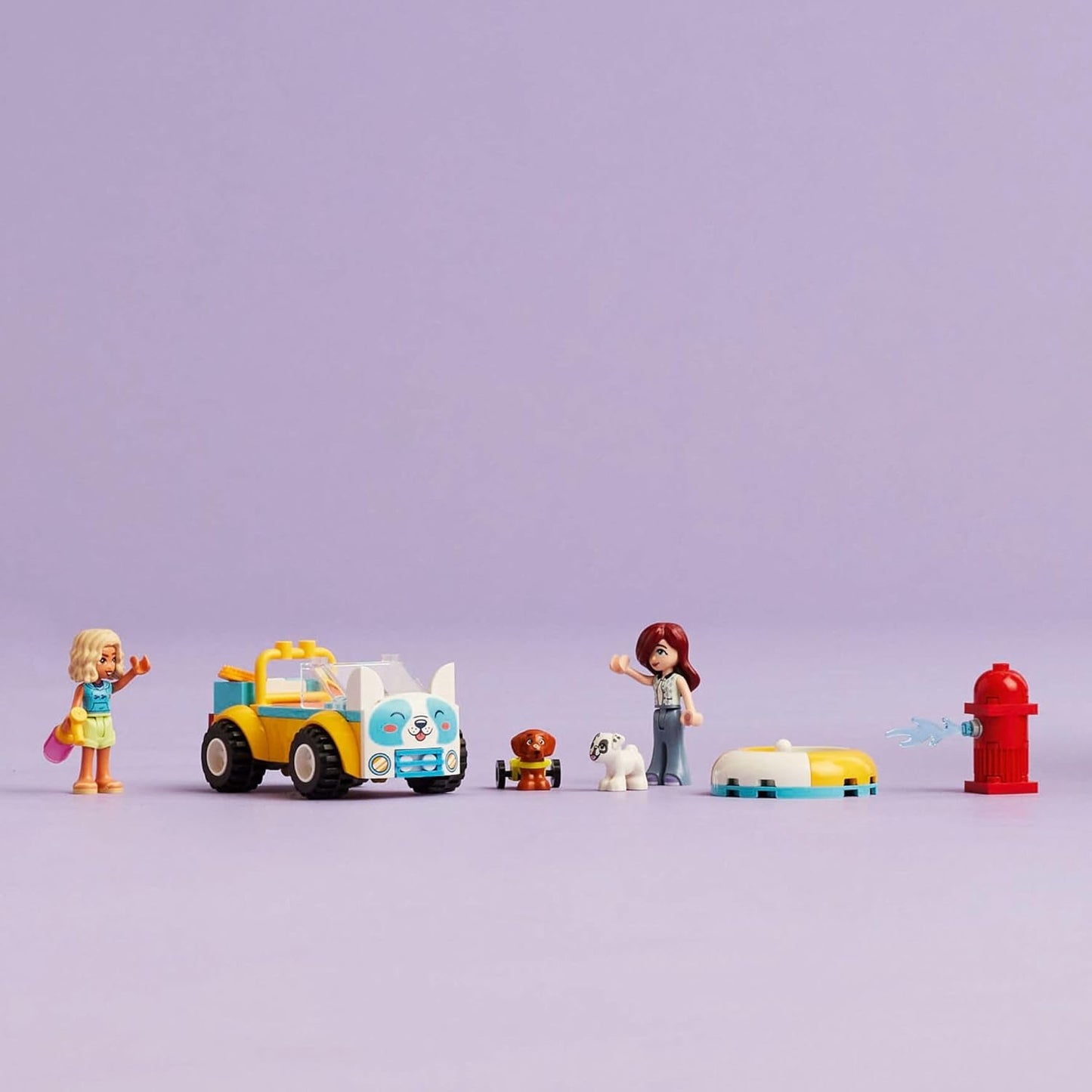 Dog-Grooming Car