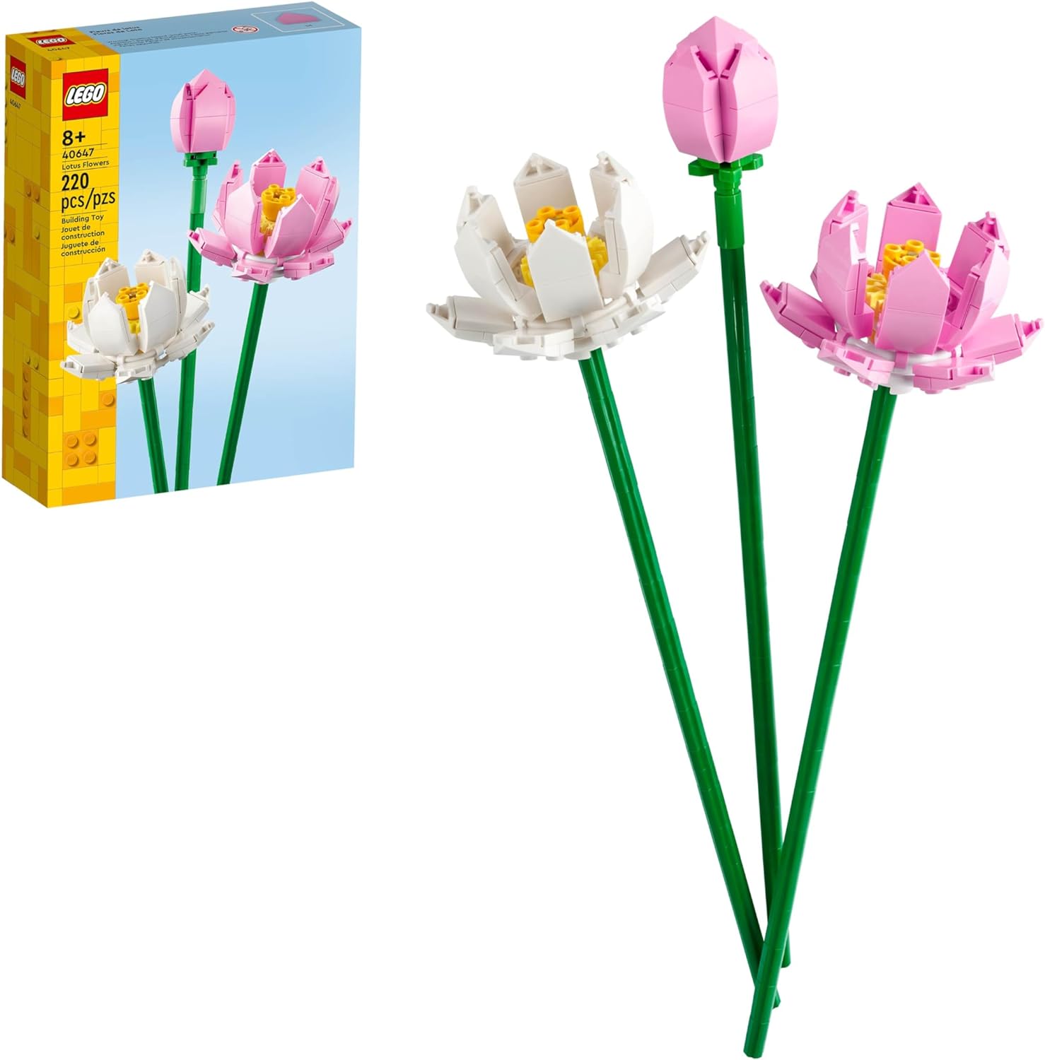 Lotus