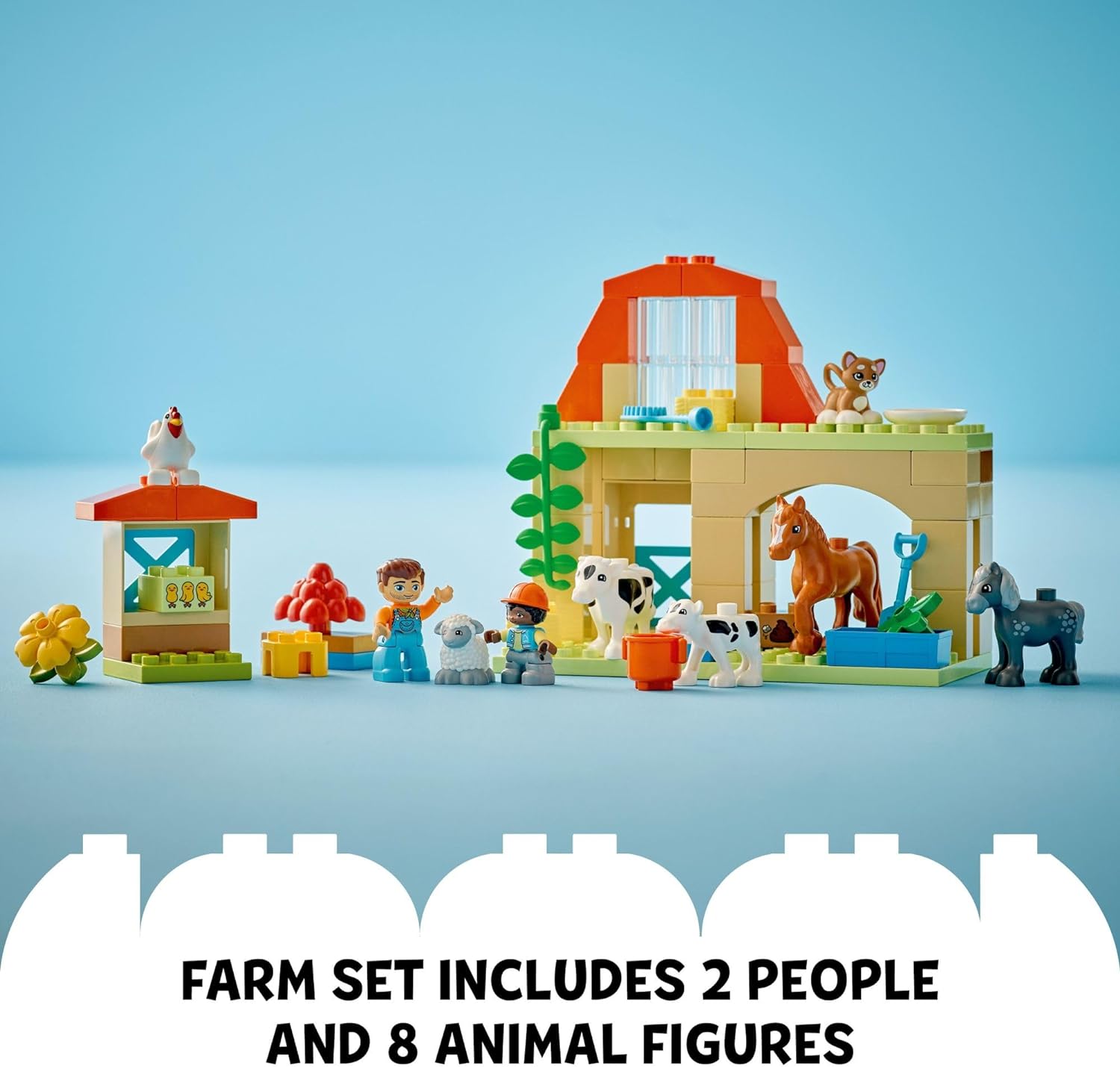 Caring for Animal at Farm