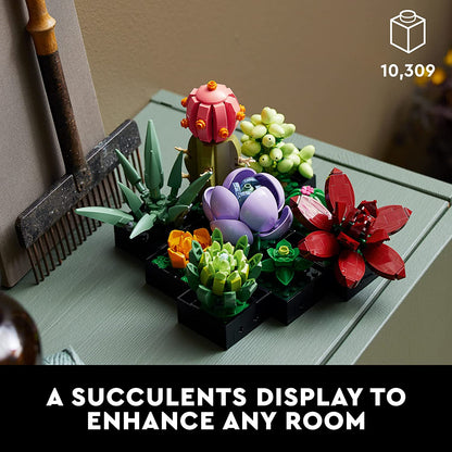 Icons Succulents
