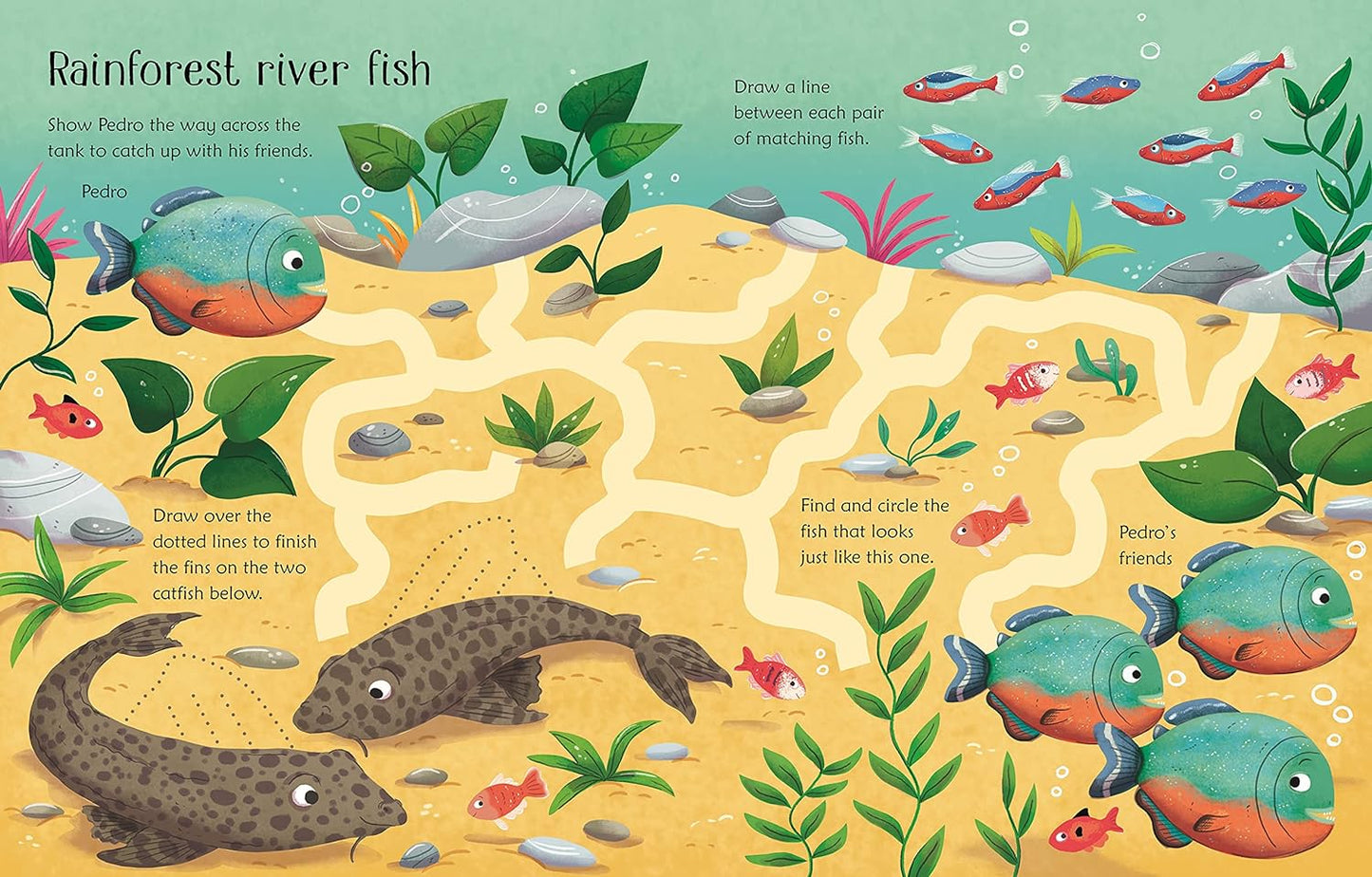 Wipe Clean Aquarium-1