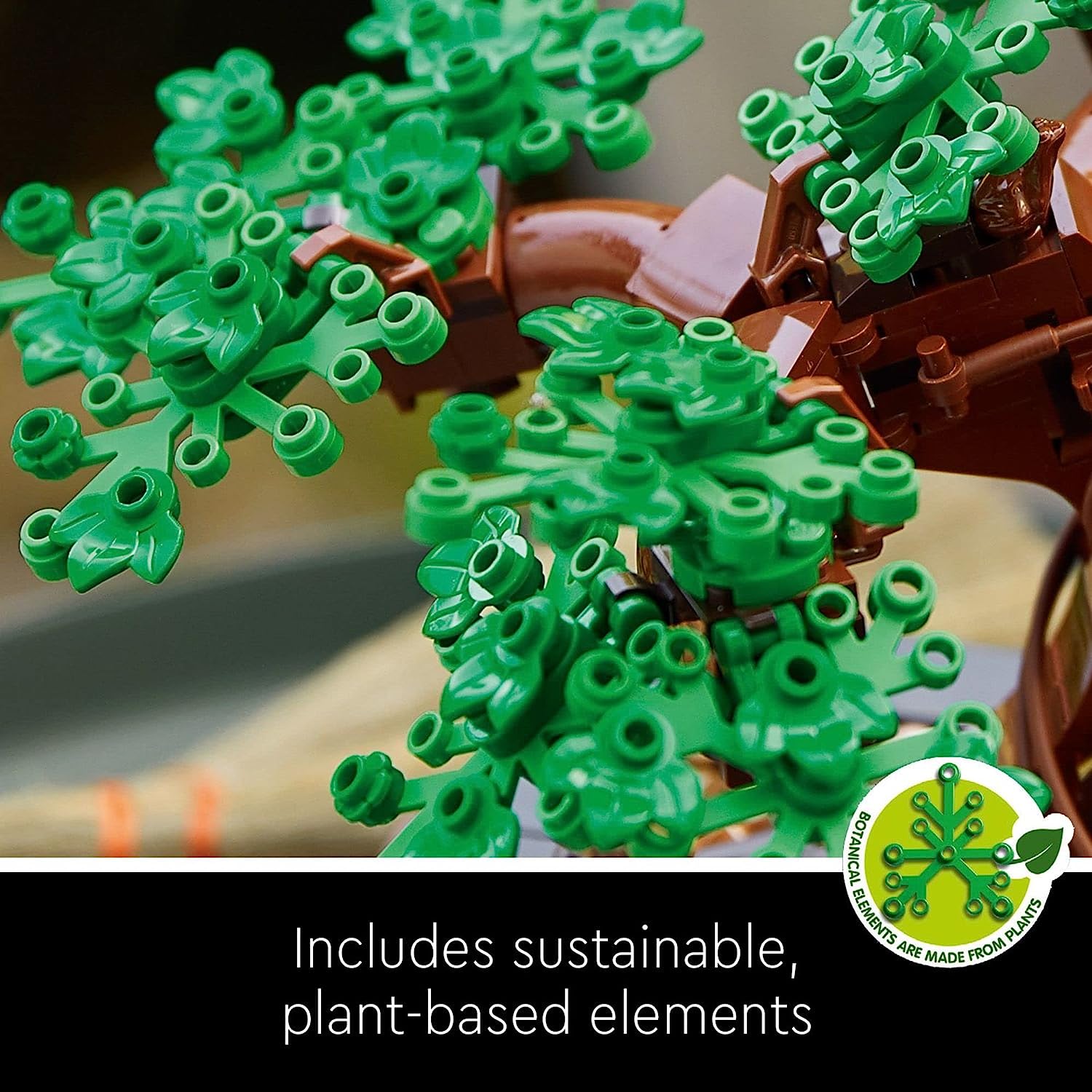 Bonsai Tree Botanicals