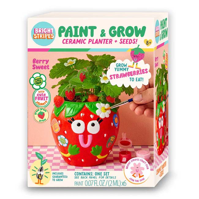 Paint & Grow Strawberry Planter-1