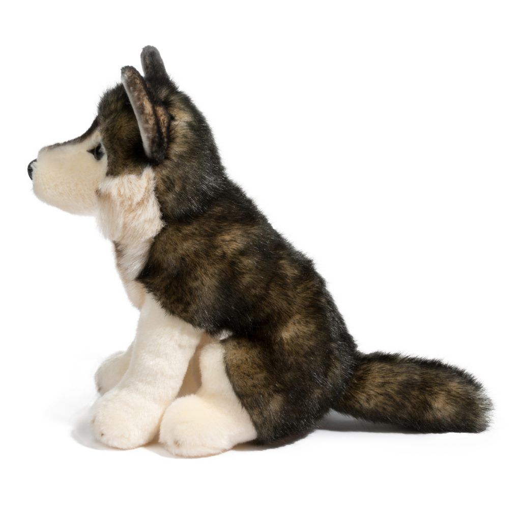 Atka Wolf