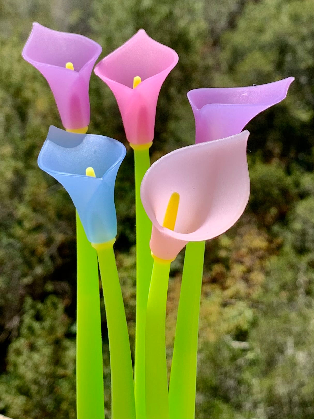 Color Change Lily Pen
