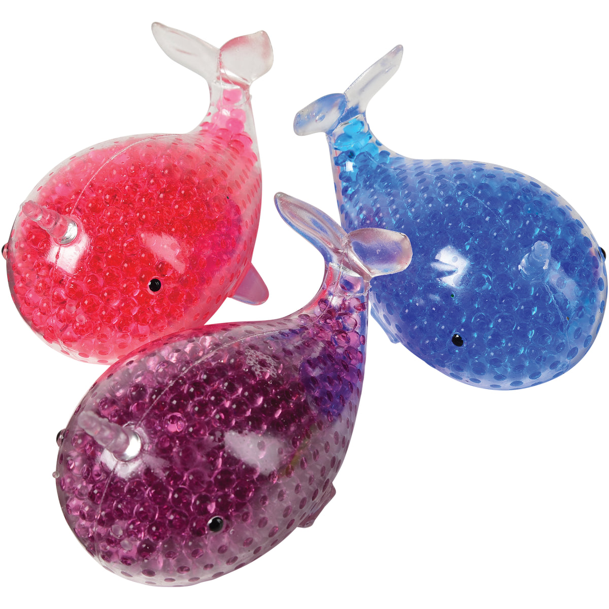 Squashy Narwhal