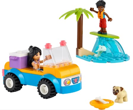 Beach Buggy Fun