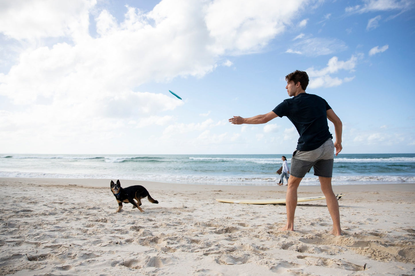 Jetwag Dog Disc